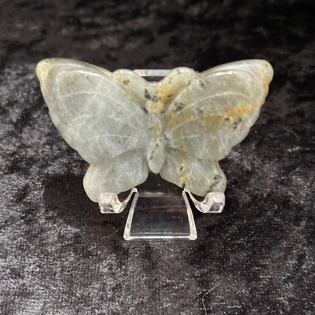 Butterflies