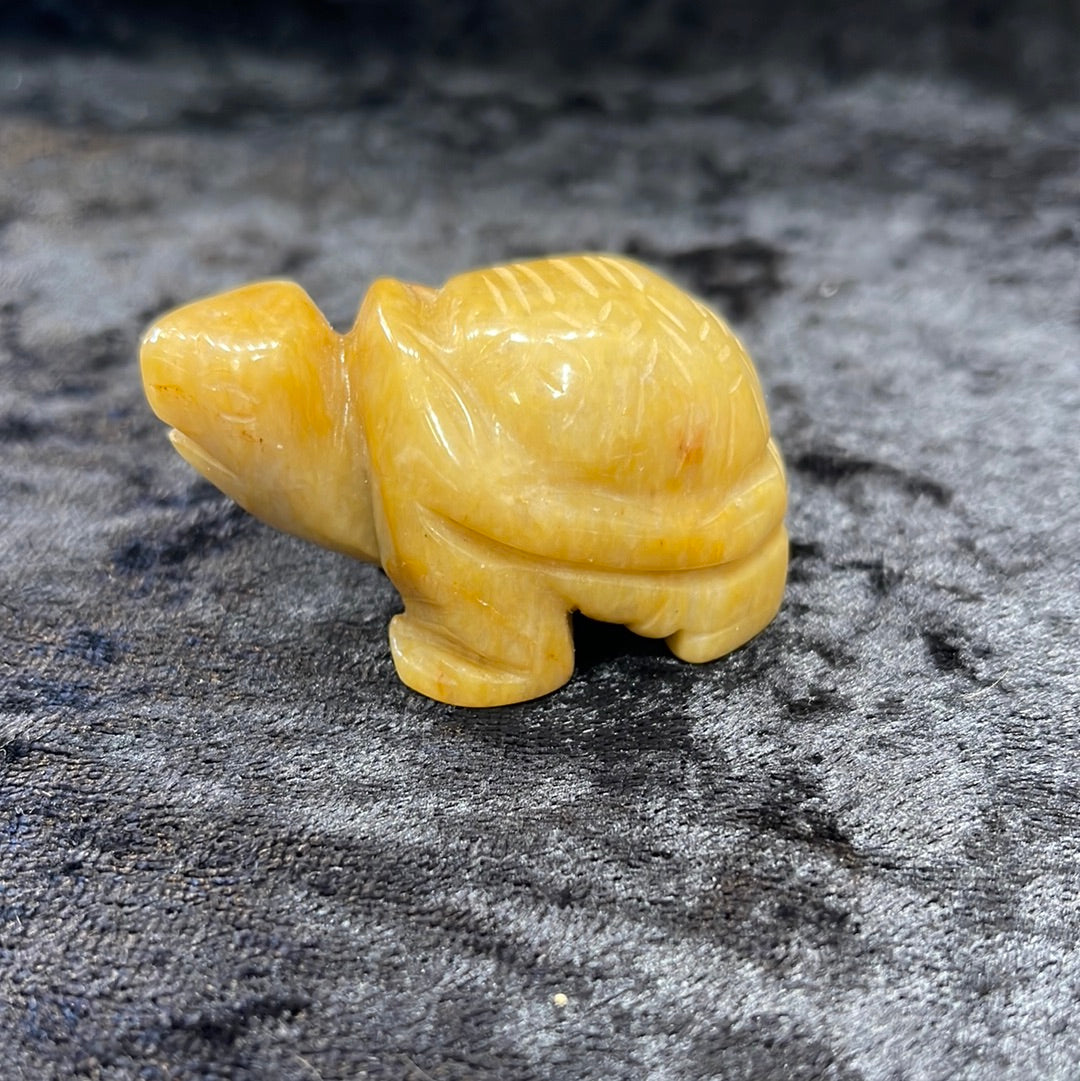Turtles