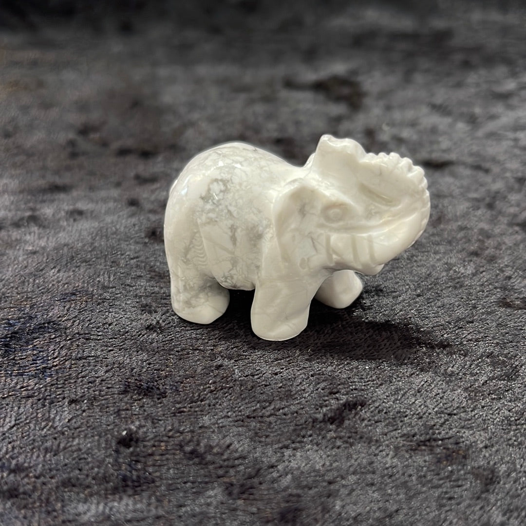 Elephants