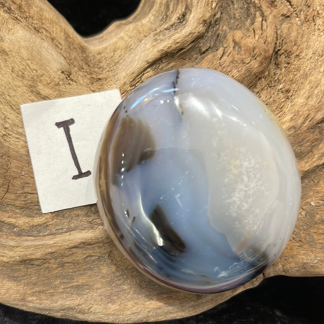 Dendritic Agate palm stone