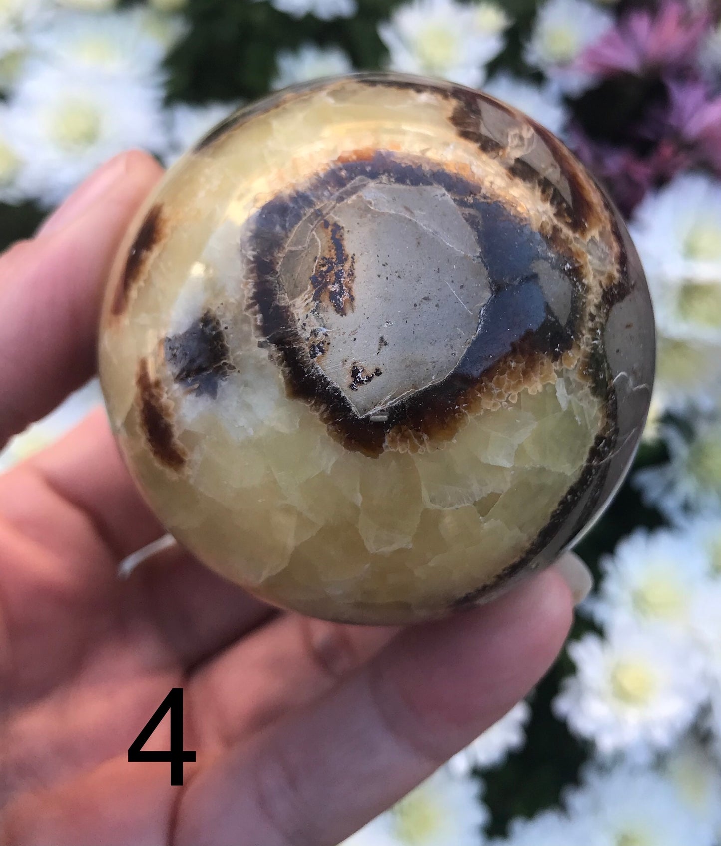 Septarian Sphere