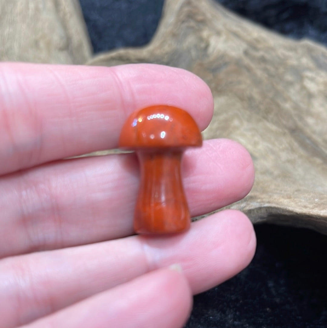 Mushrooms