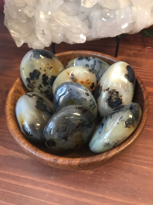 Dendritic Agate palm stone