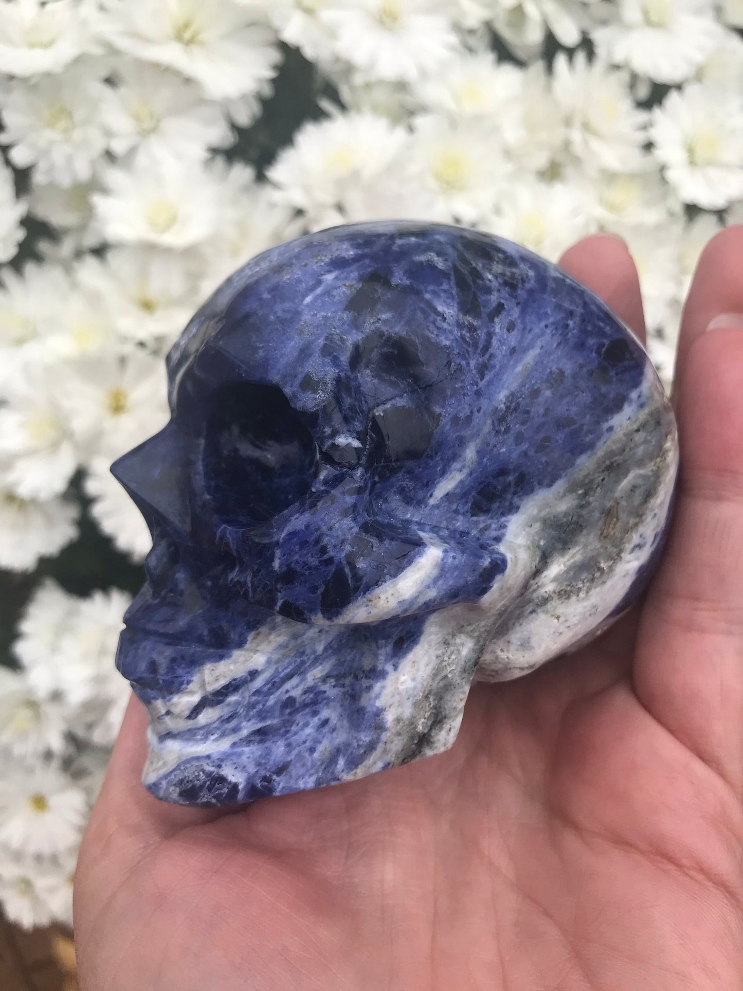 Sodalite skull