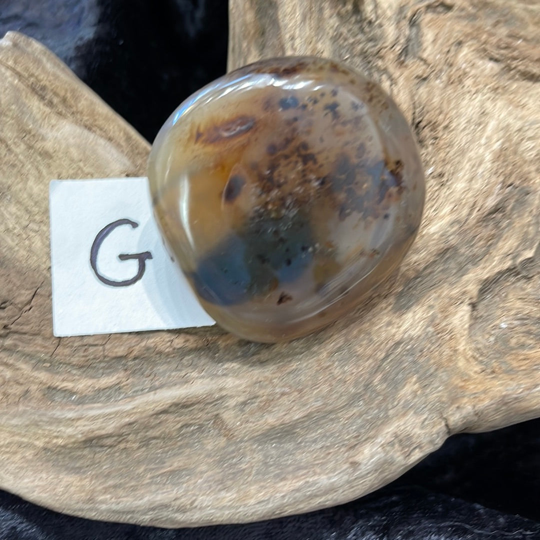 Dendritic Agate palm stone