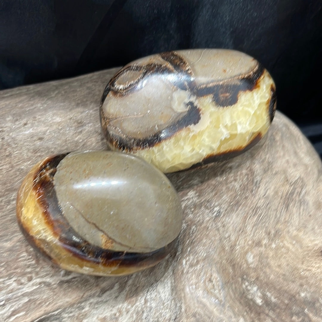 Septarian shapes