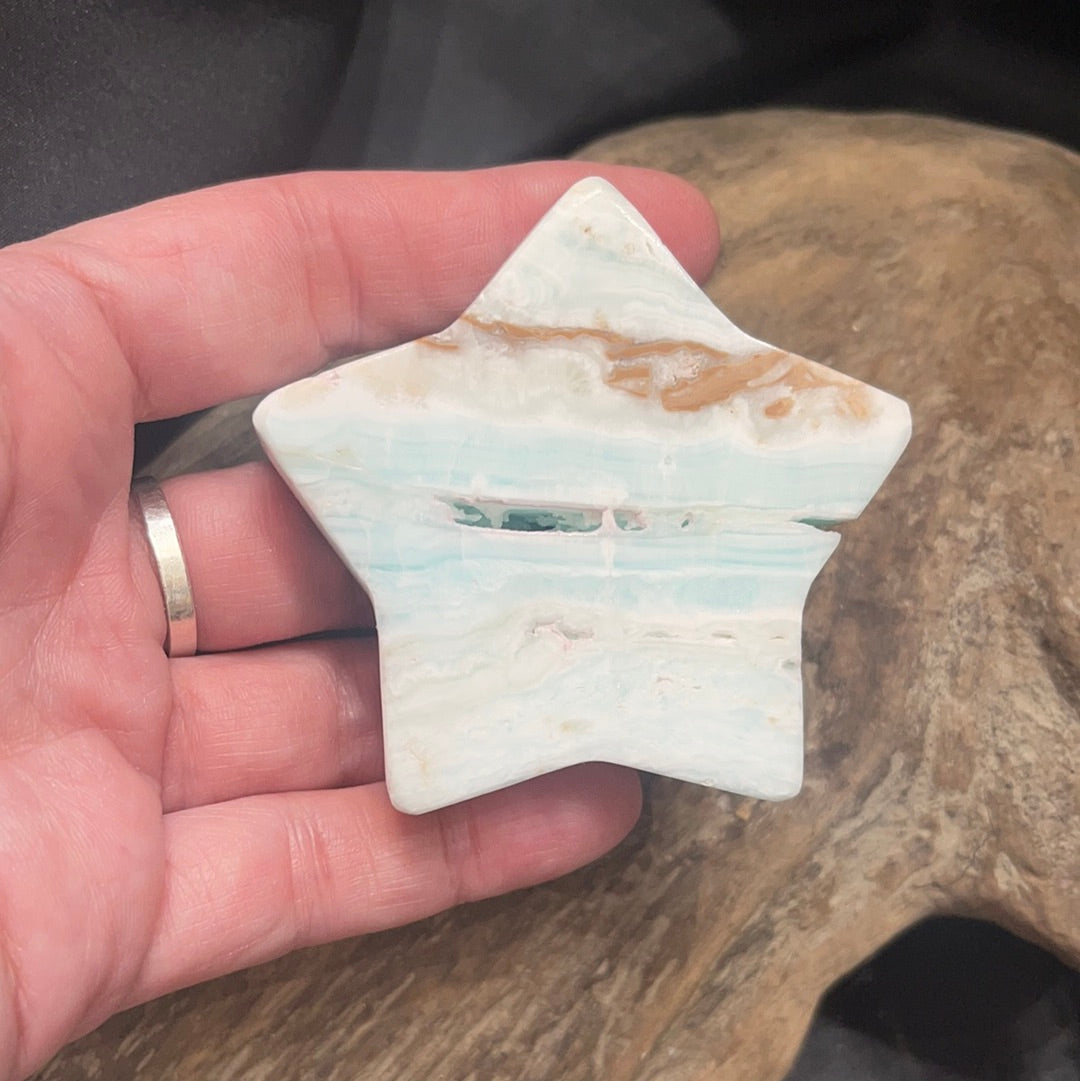 Caribbean calcite star