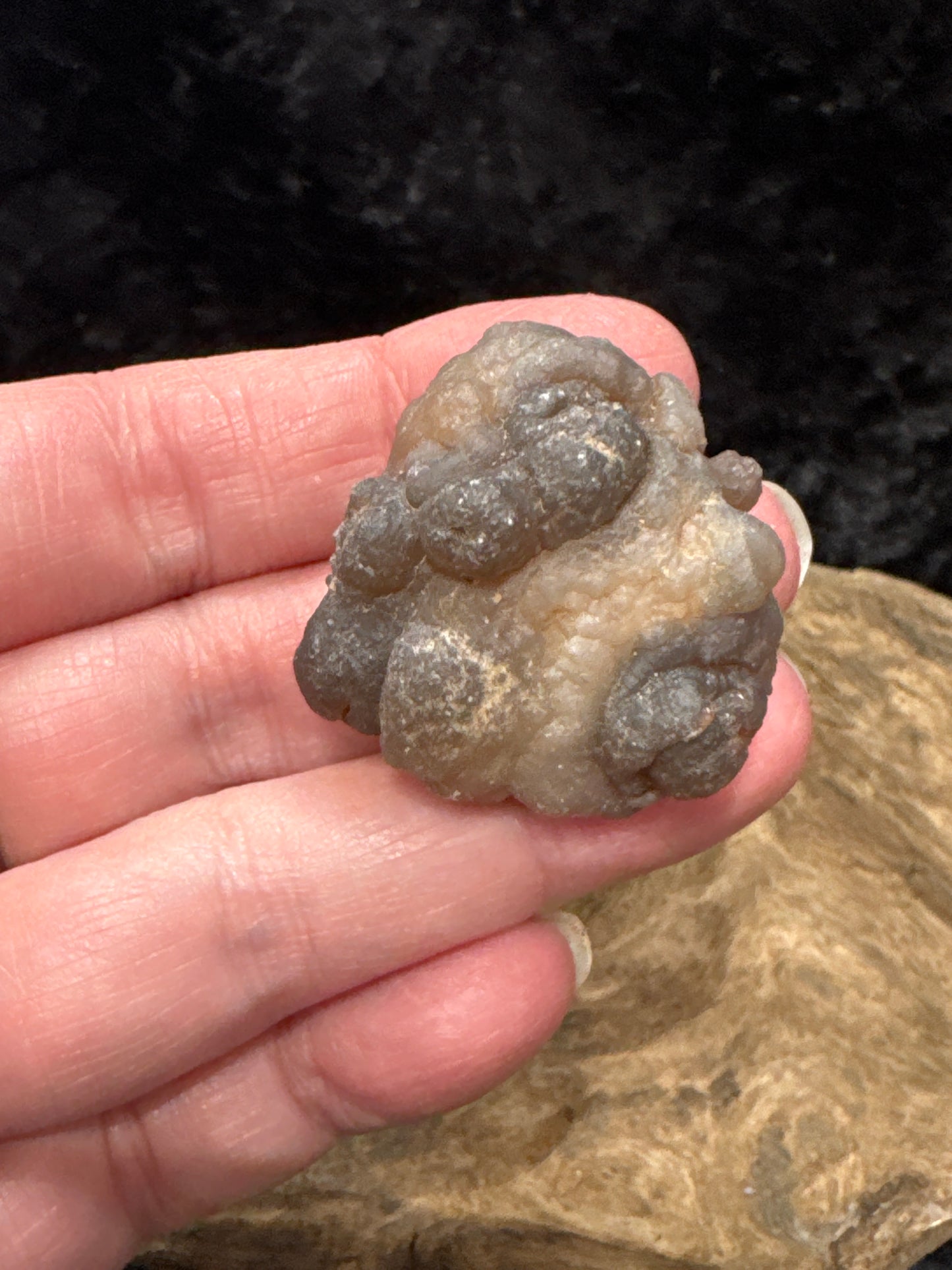 Botryoidal Chalcedony