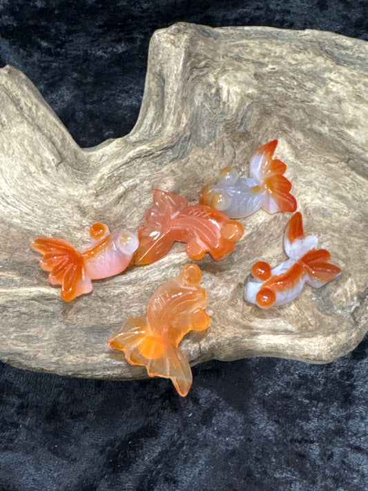Carnelian Goldfish
