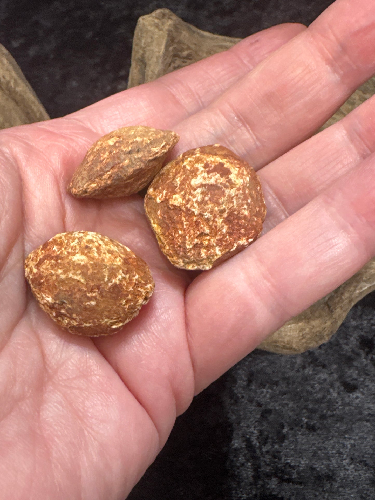 Feldspar (Brown Variety)