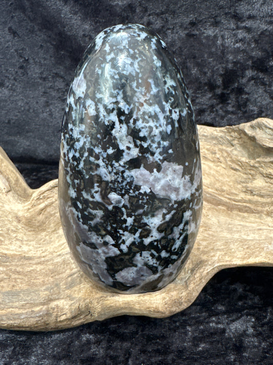 Indigo Gabbro ( Mystic Merlinite) - free form