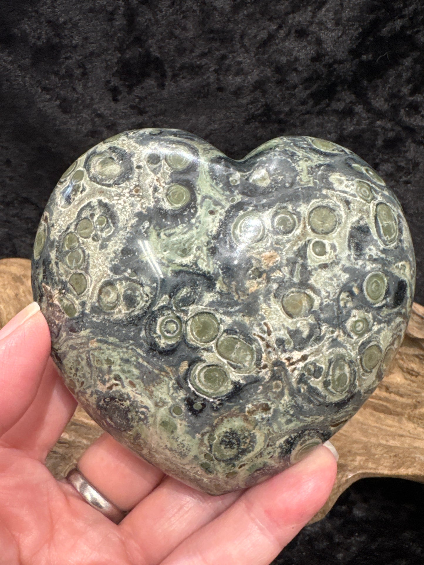 Kambaba Jasper Heart (Stromatolite)