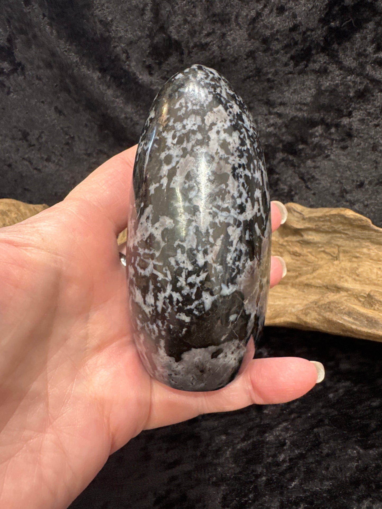 Indigo Gabbro ( Mystic Merlinite) - free form