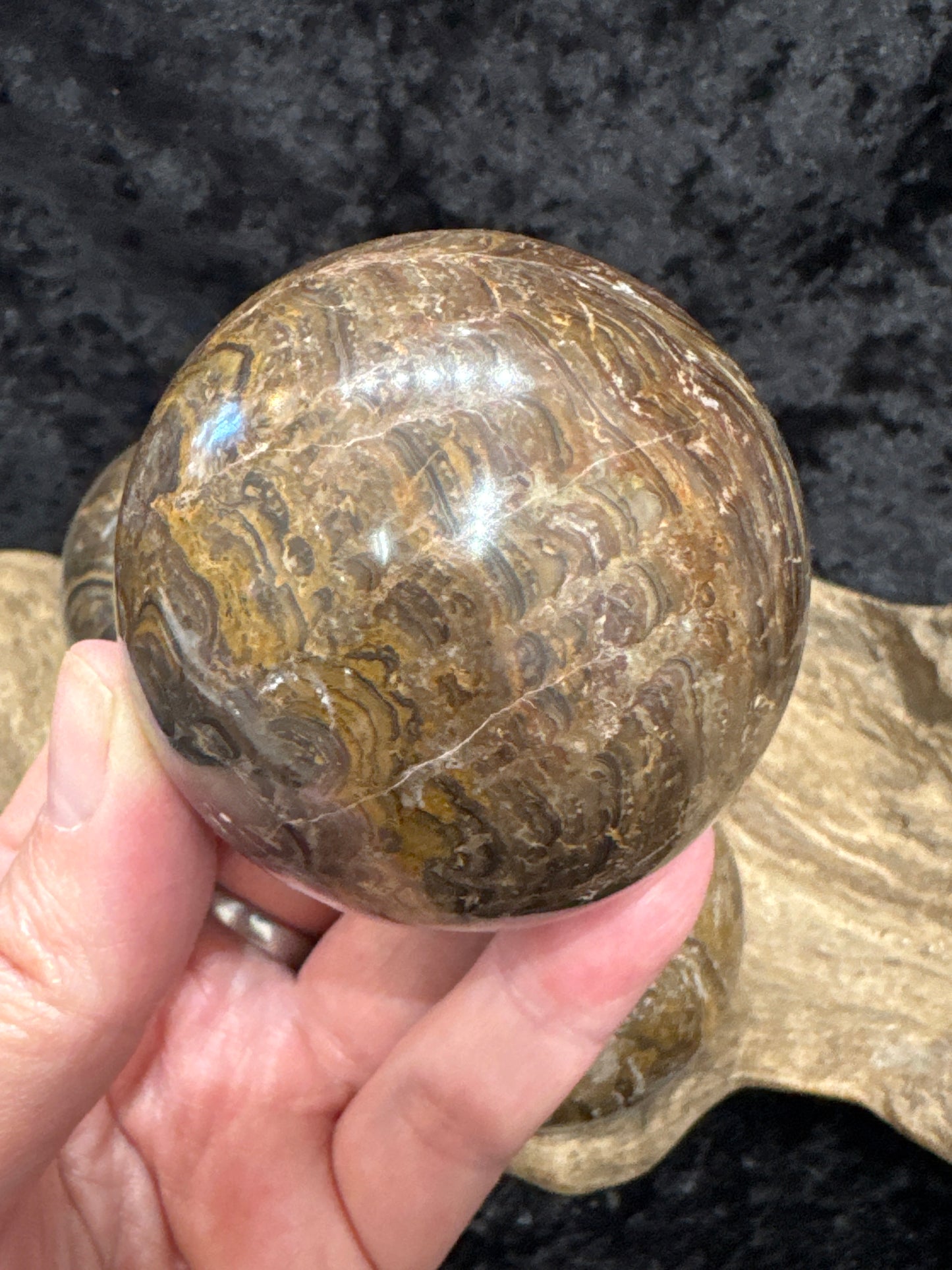Stromatolite sphere
