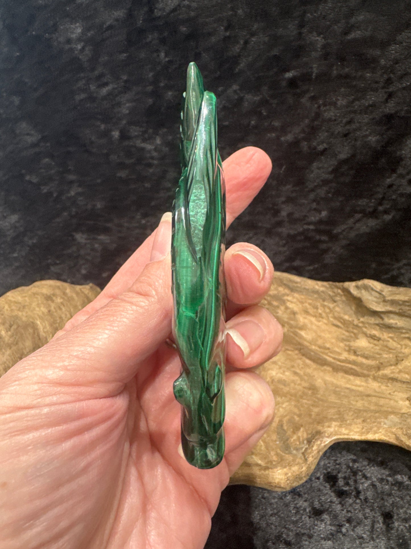 Malachite Fish