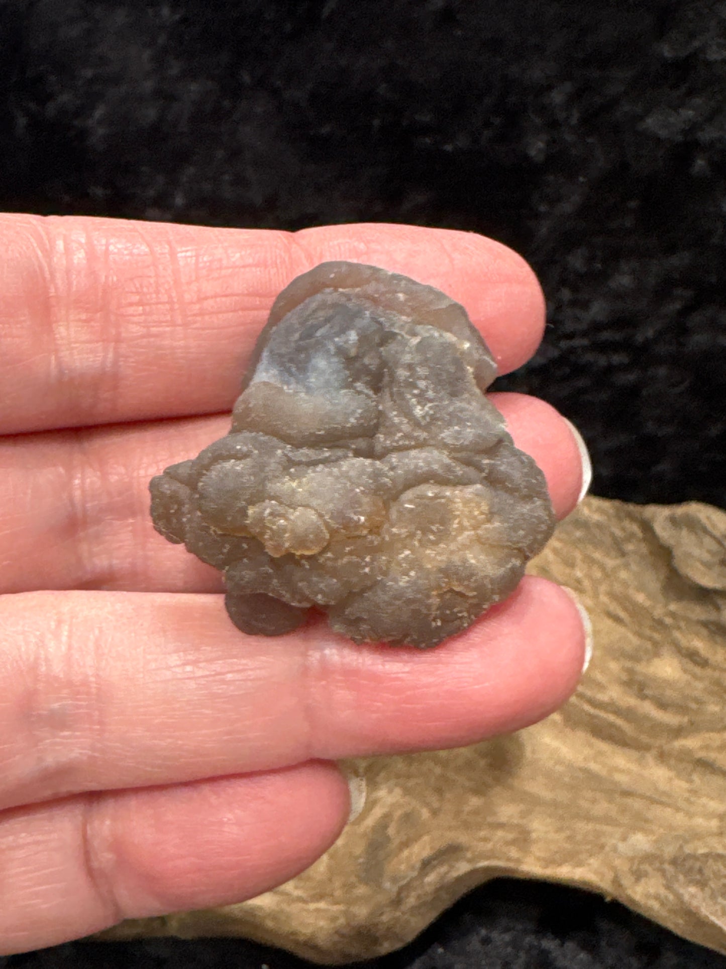 Botryoidal Chalcedony
