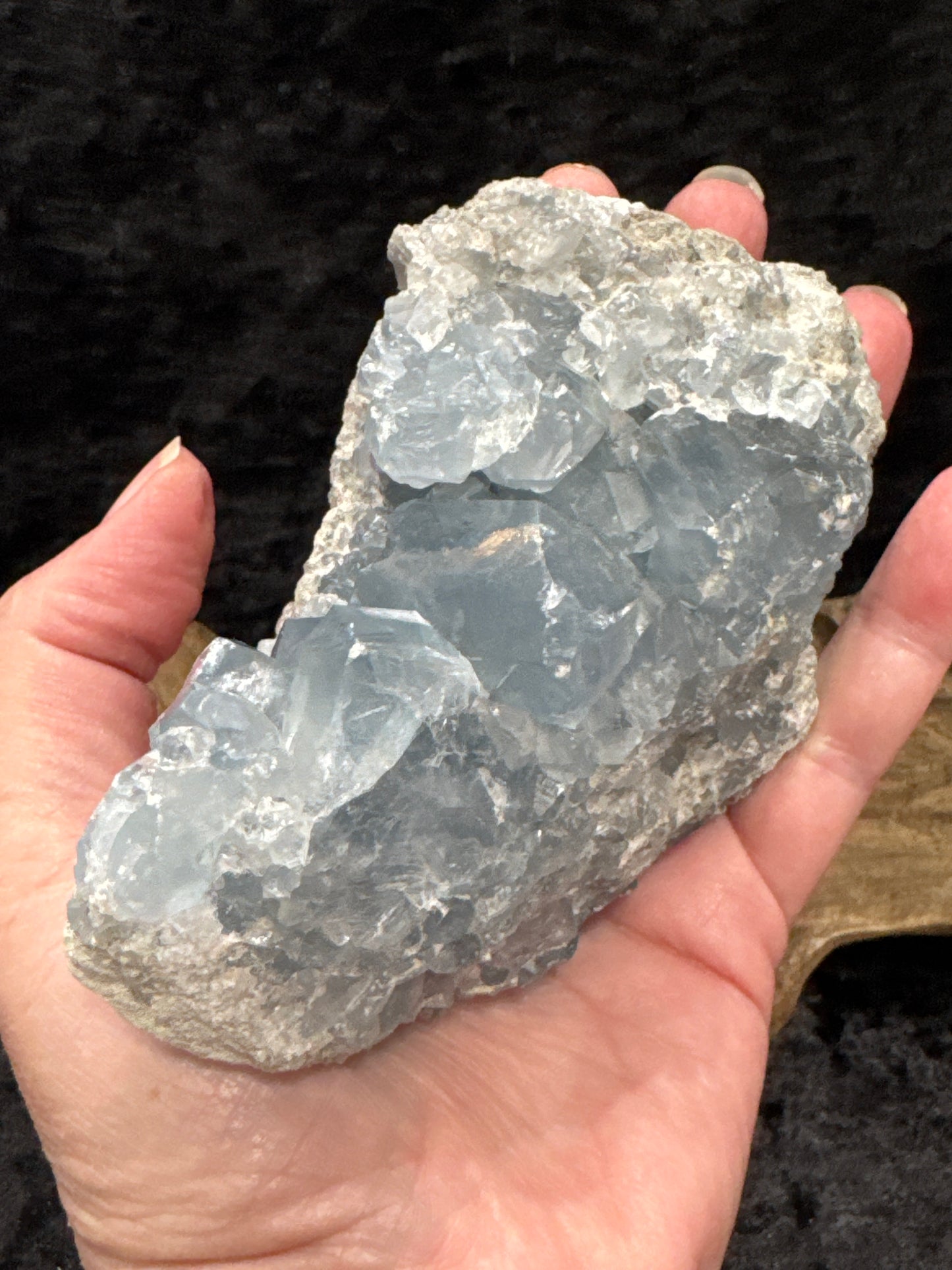 Celestite Clusters - Medium