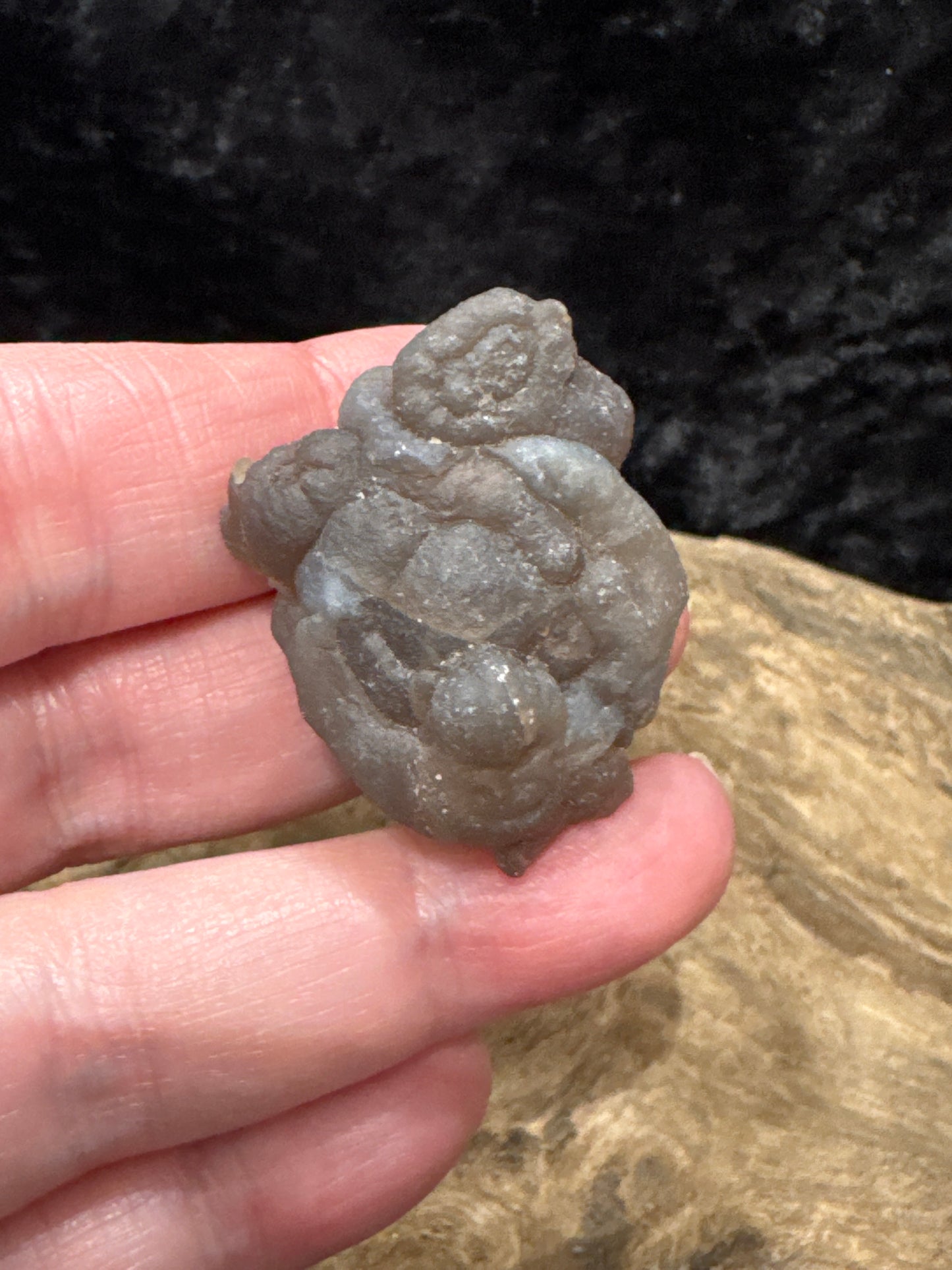 Botryoidal Chalcedony