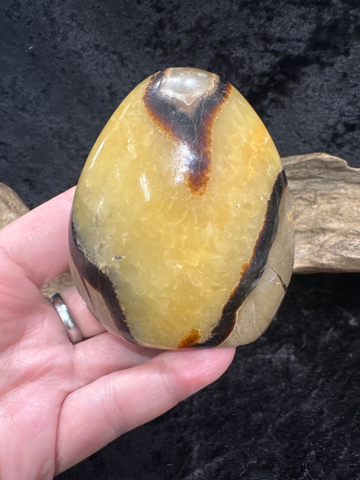 Septarian free form