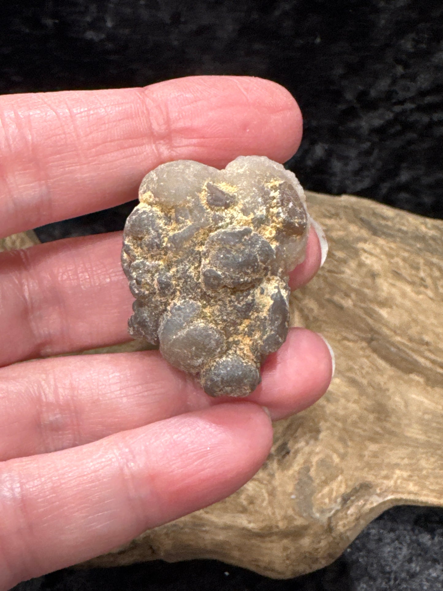 Botryoidal Chalcedony