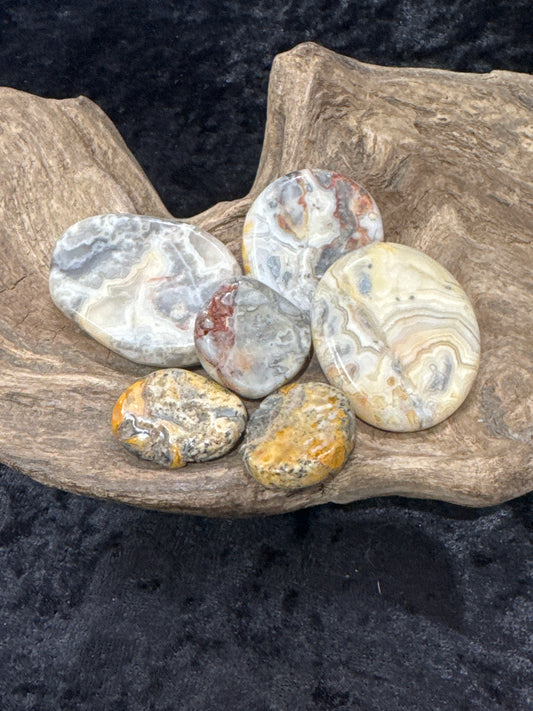 Crazy lace agate disks