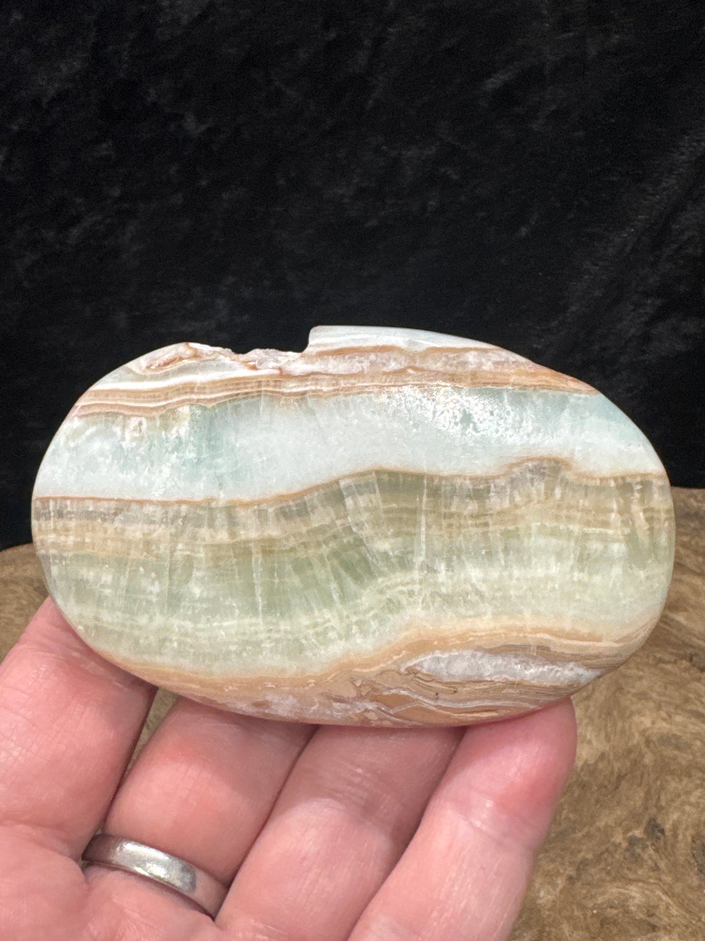 Caribbean Calcite Palm Stone - Pakistan