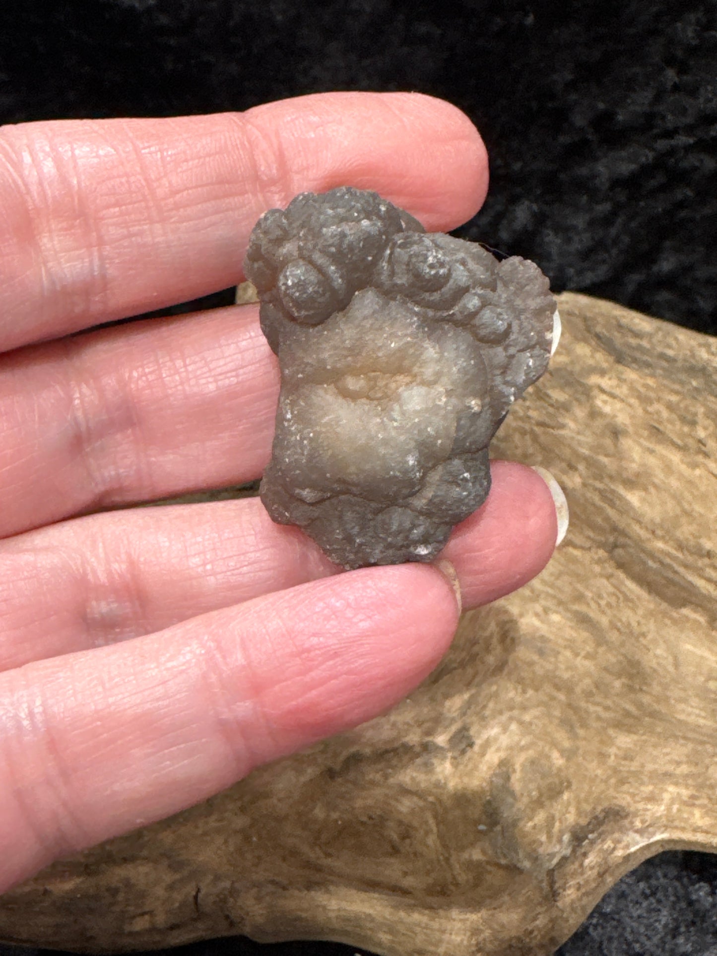 Botryoidal Chalcedony