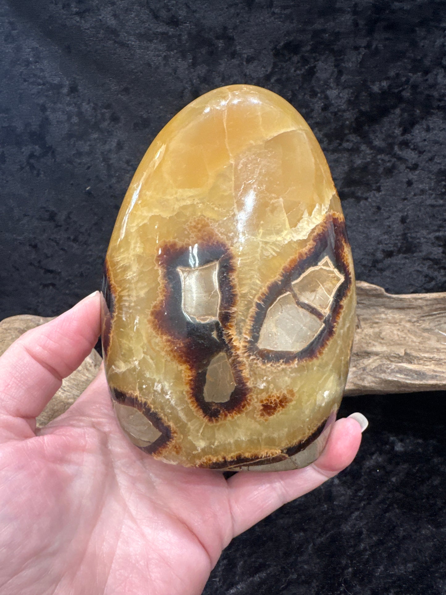 Septarian free form