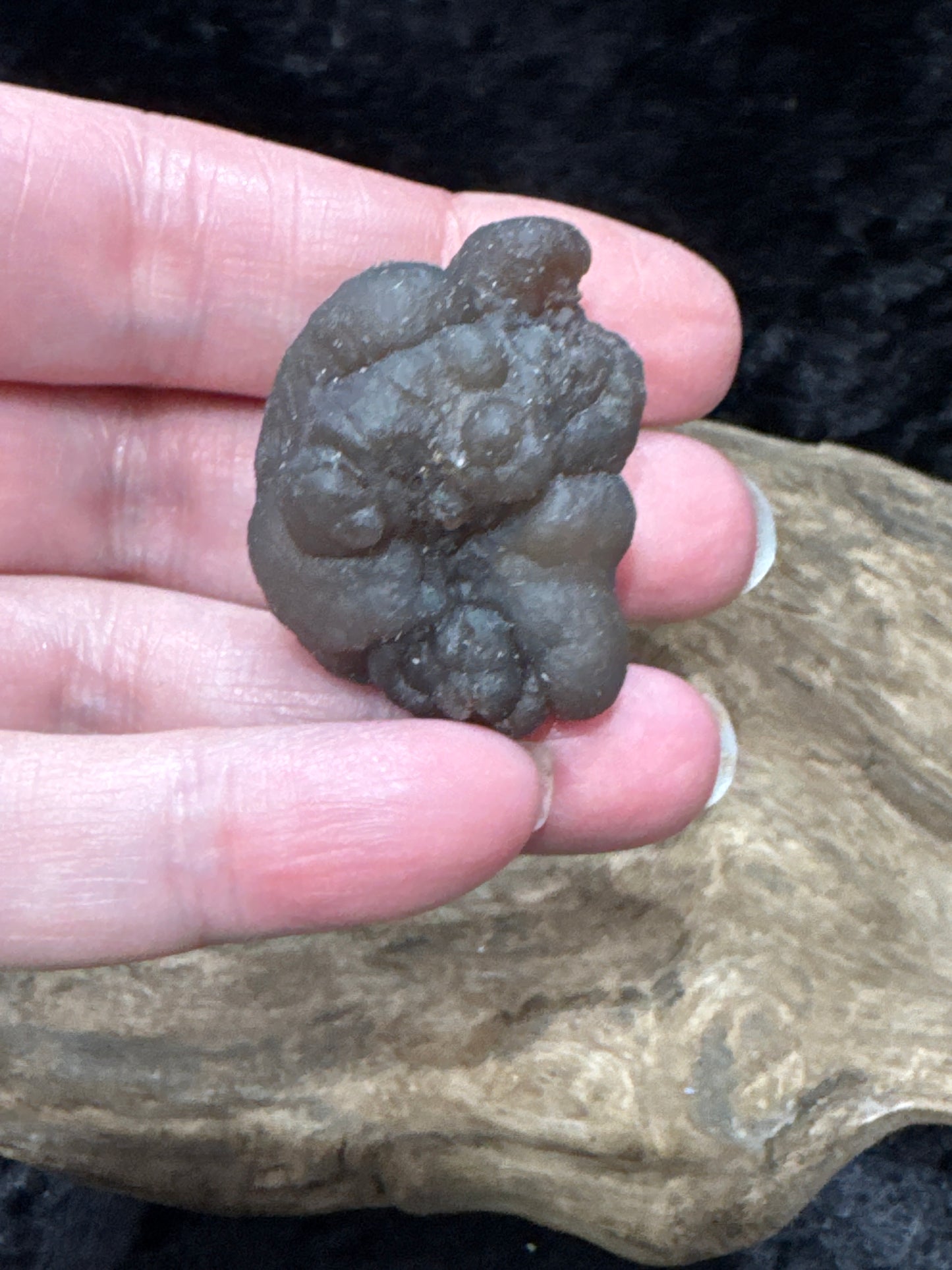 Botryoidal Chalcedony