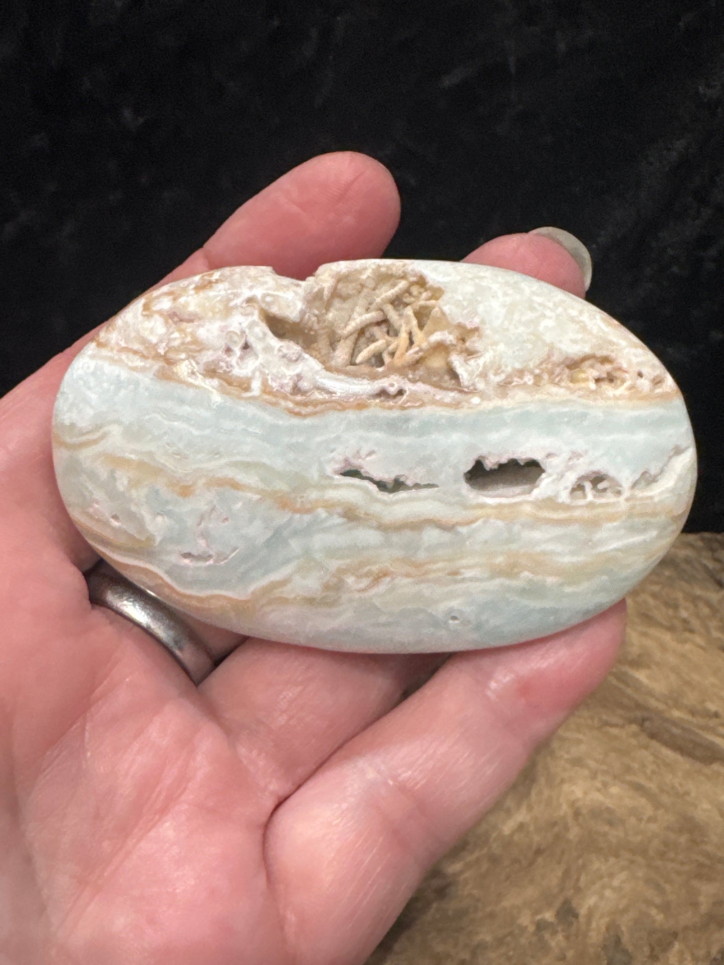 Caribbean Calcite Palm Stone - Pakistan