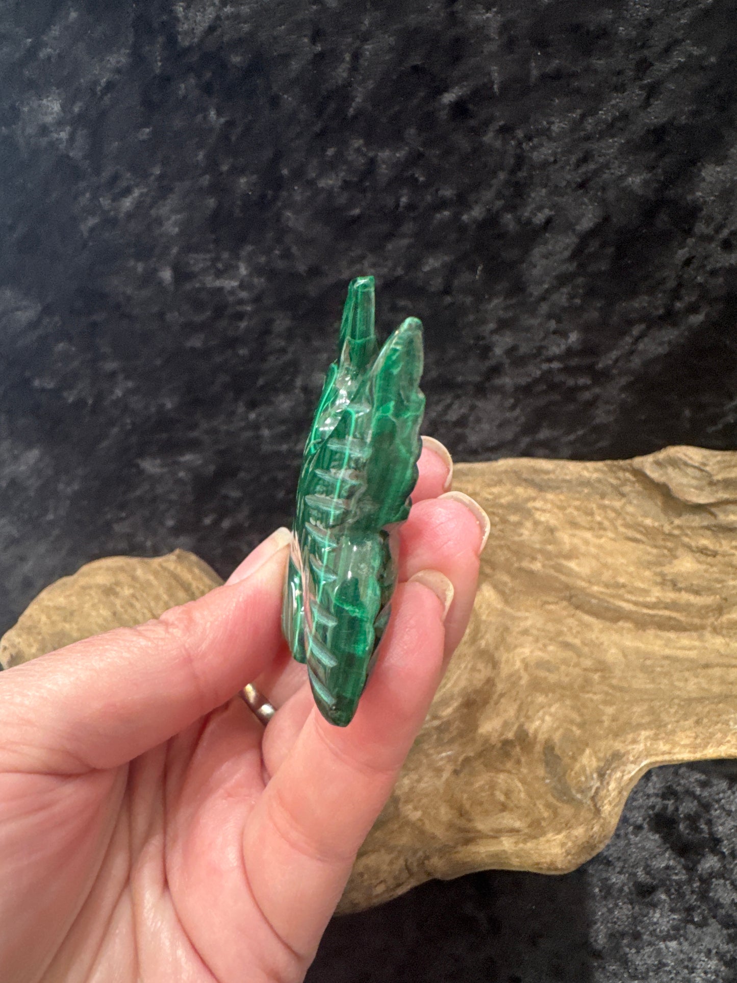 Malachite Fish