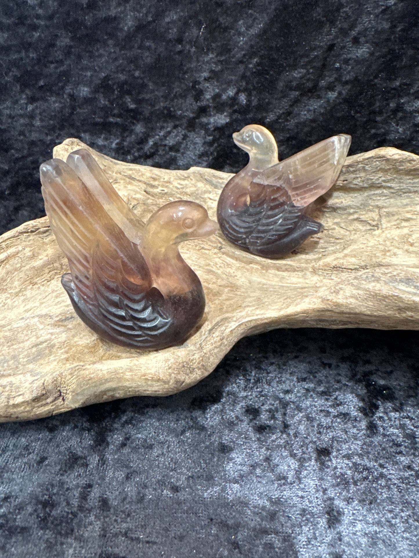 Fluorite Swans