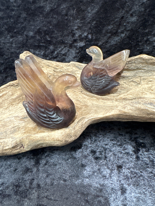 Fluorite Swans
