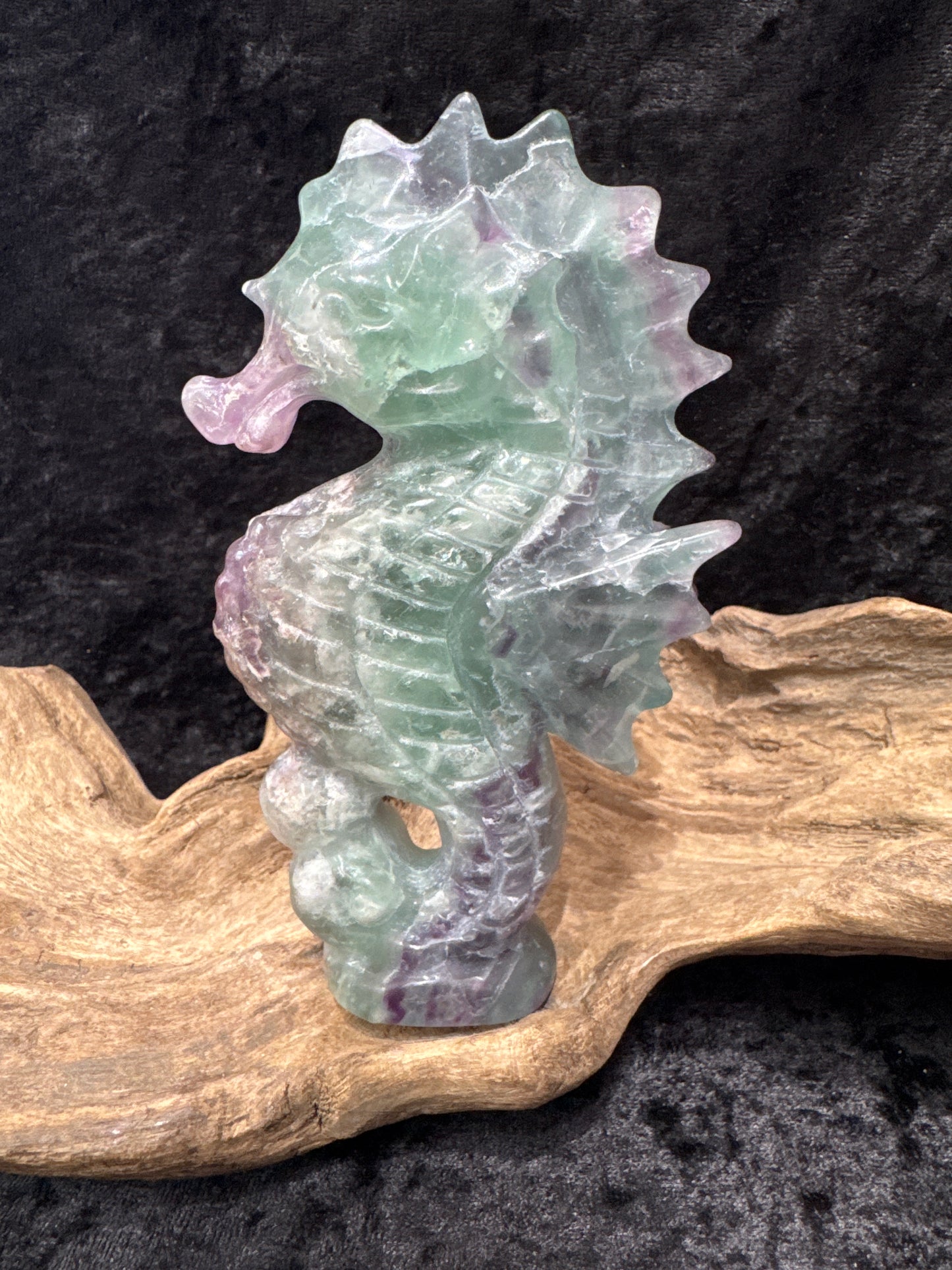 Fluorite seahorse