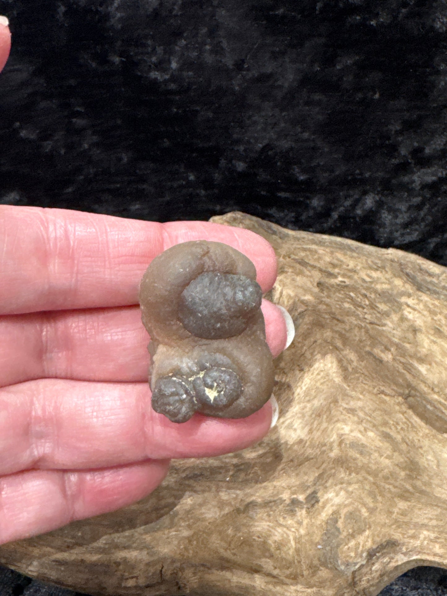Botryoidal Chalcedony