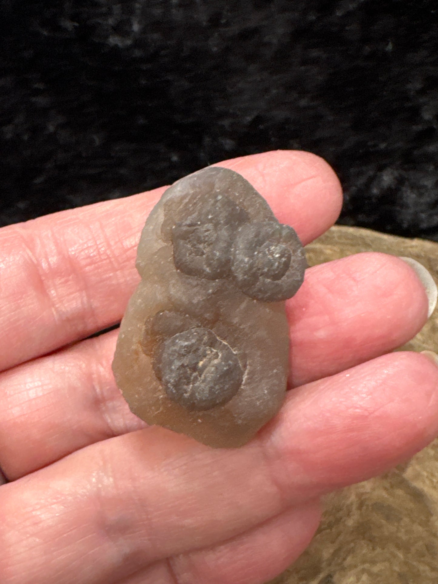 Botryoidal Chalcedony