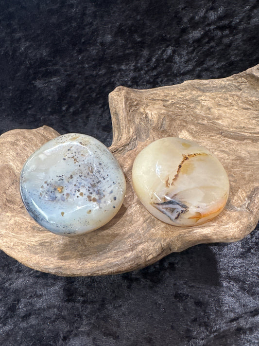 Dendritic Agate palm stone