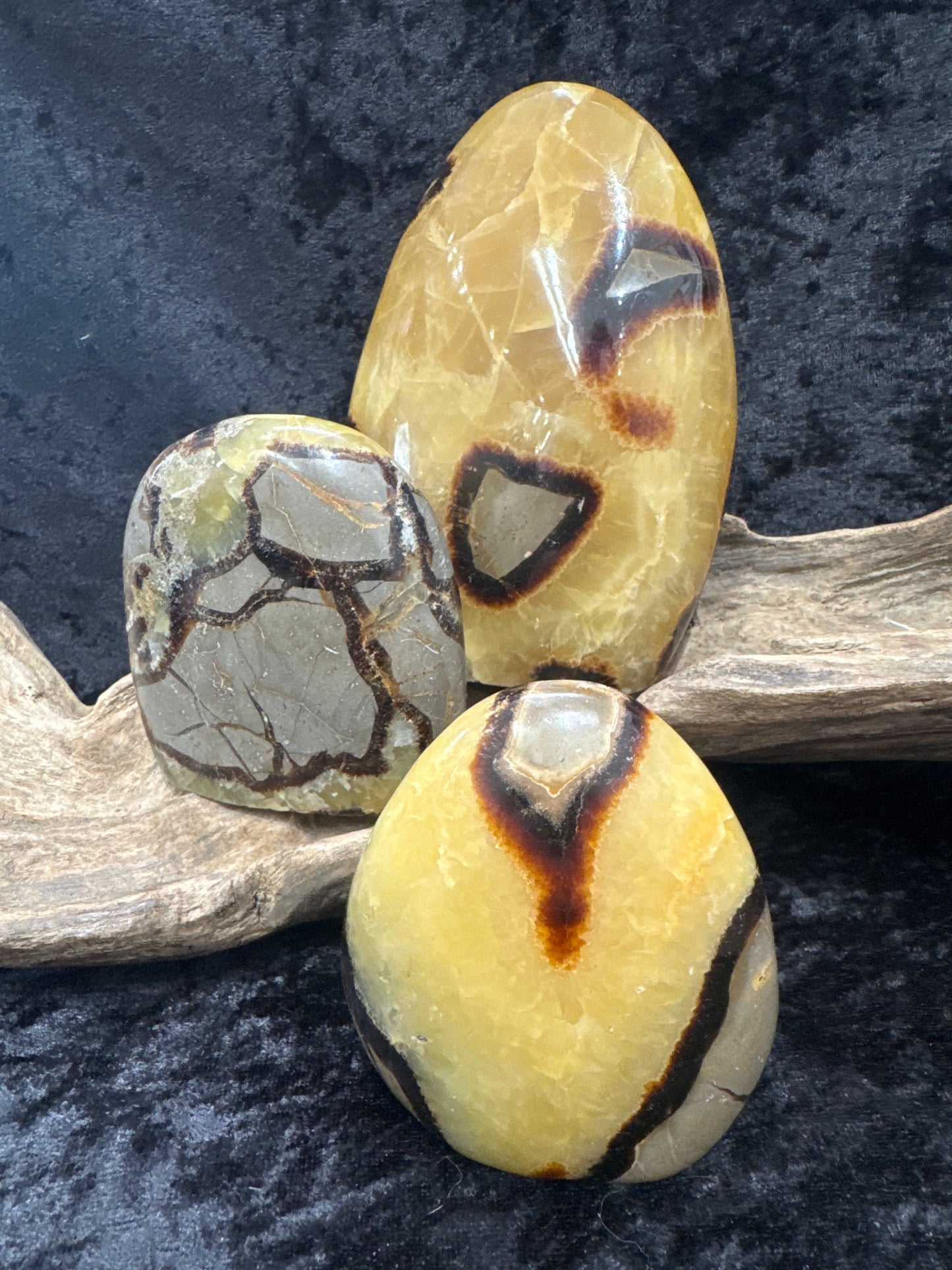 Septarian free form