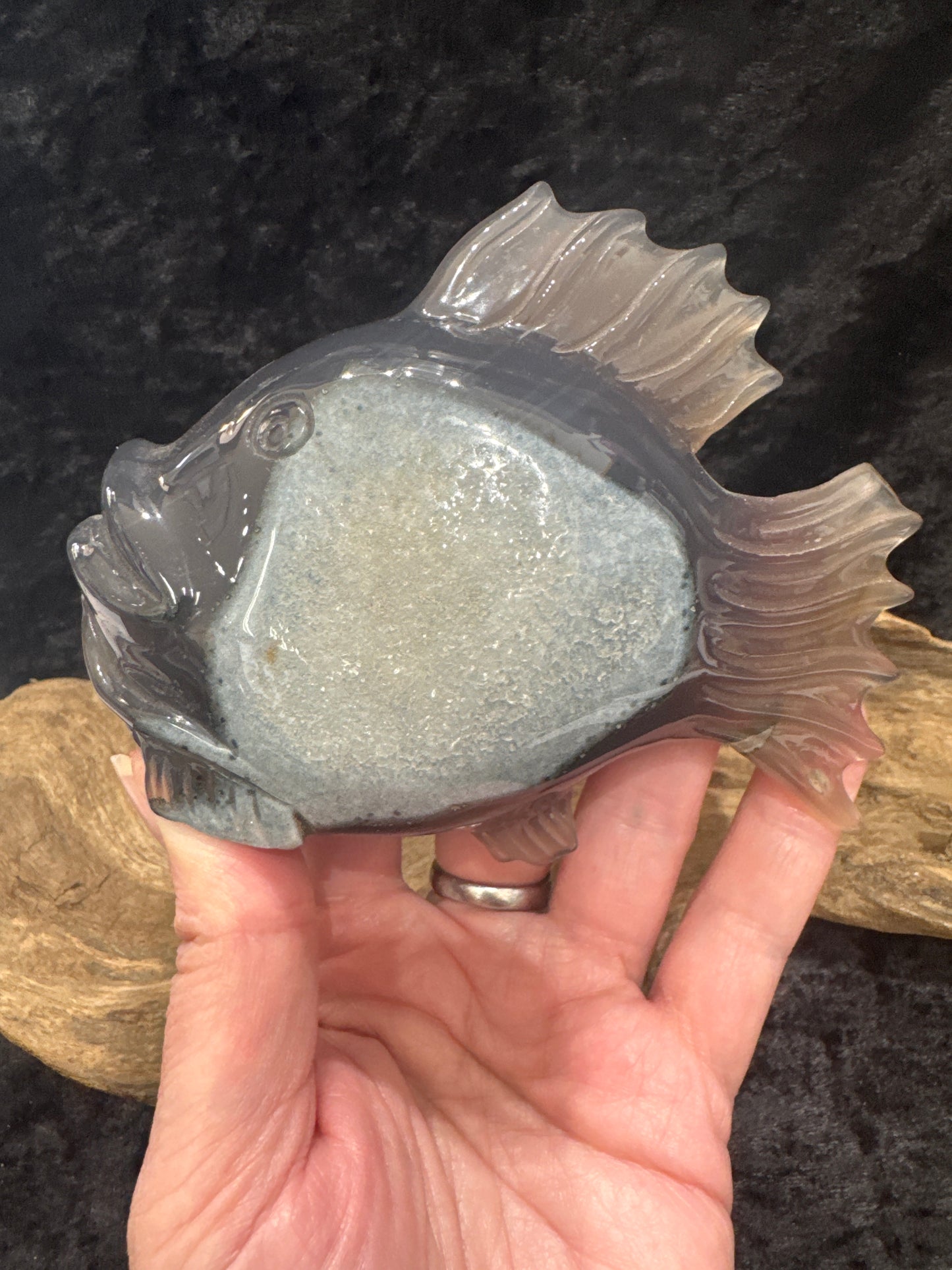 Drusy Agate Fish
