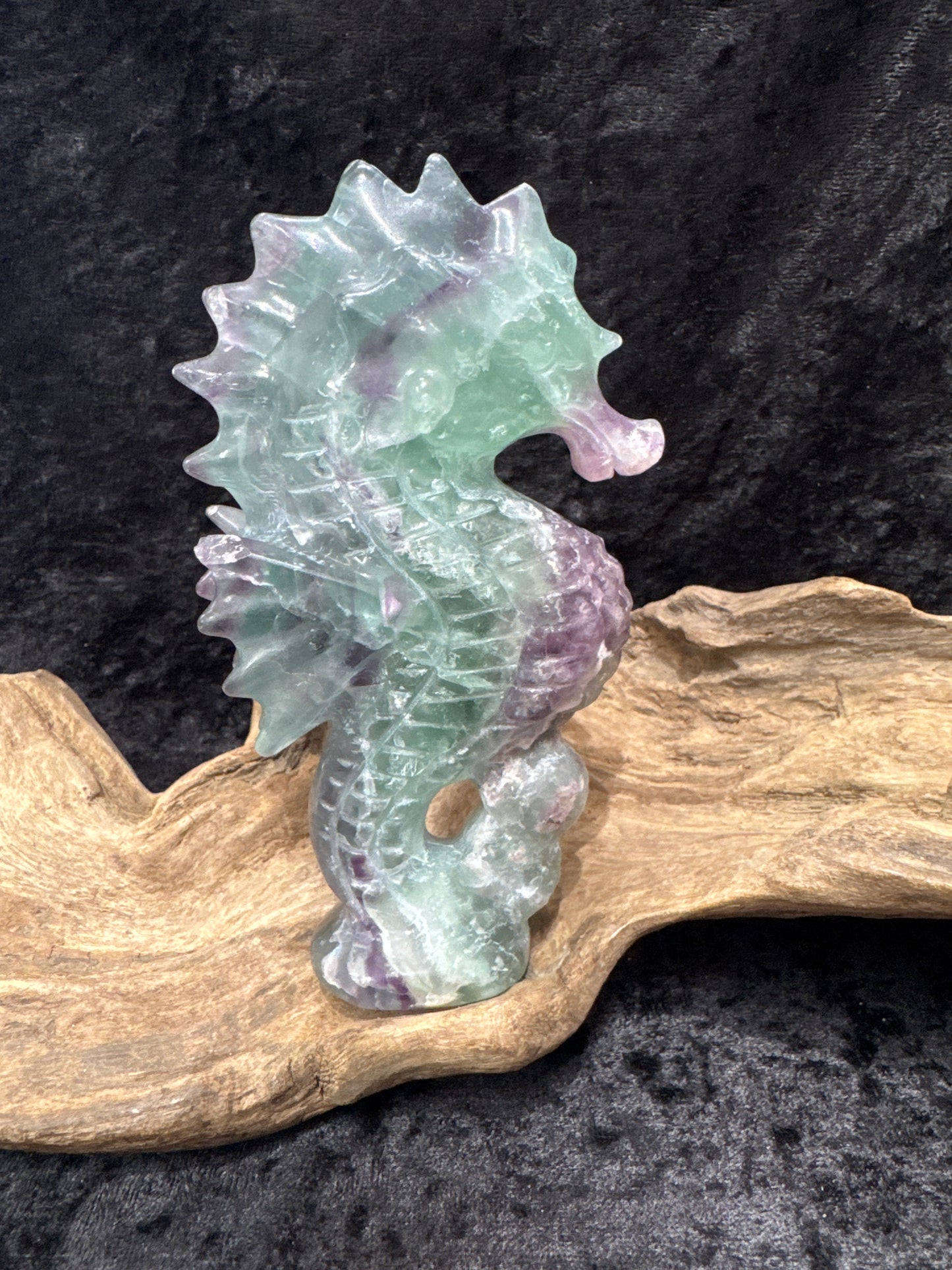 Fluorite seahorse