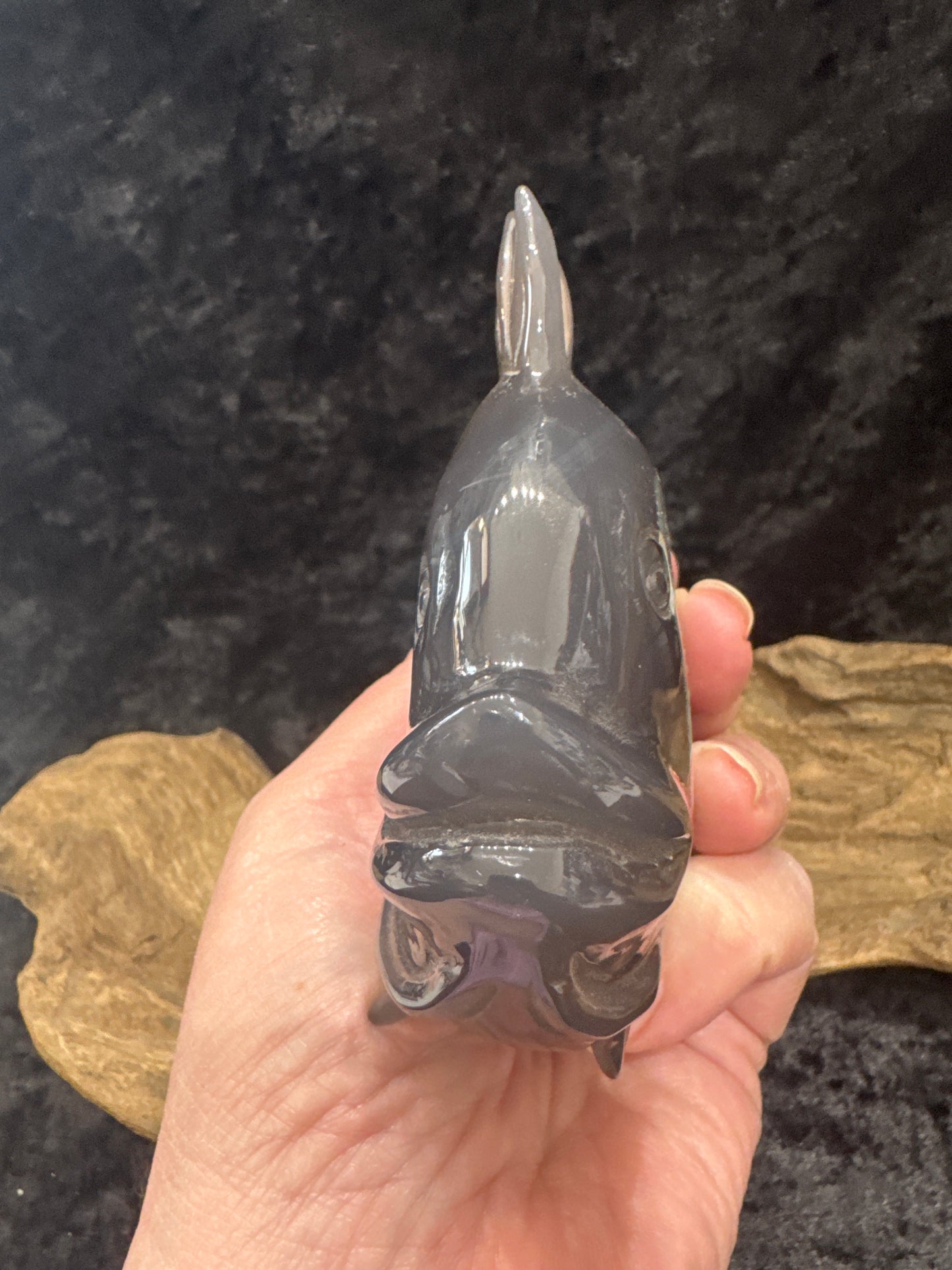 Drusy Agate Fish
