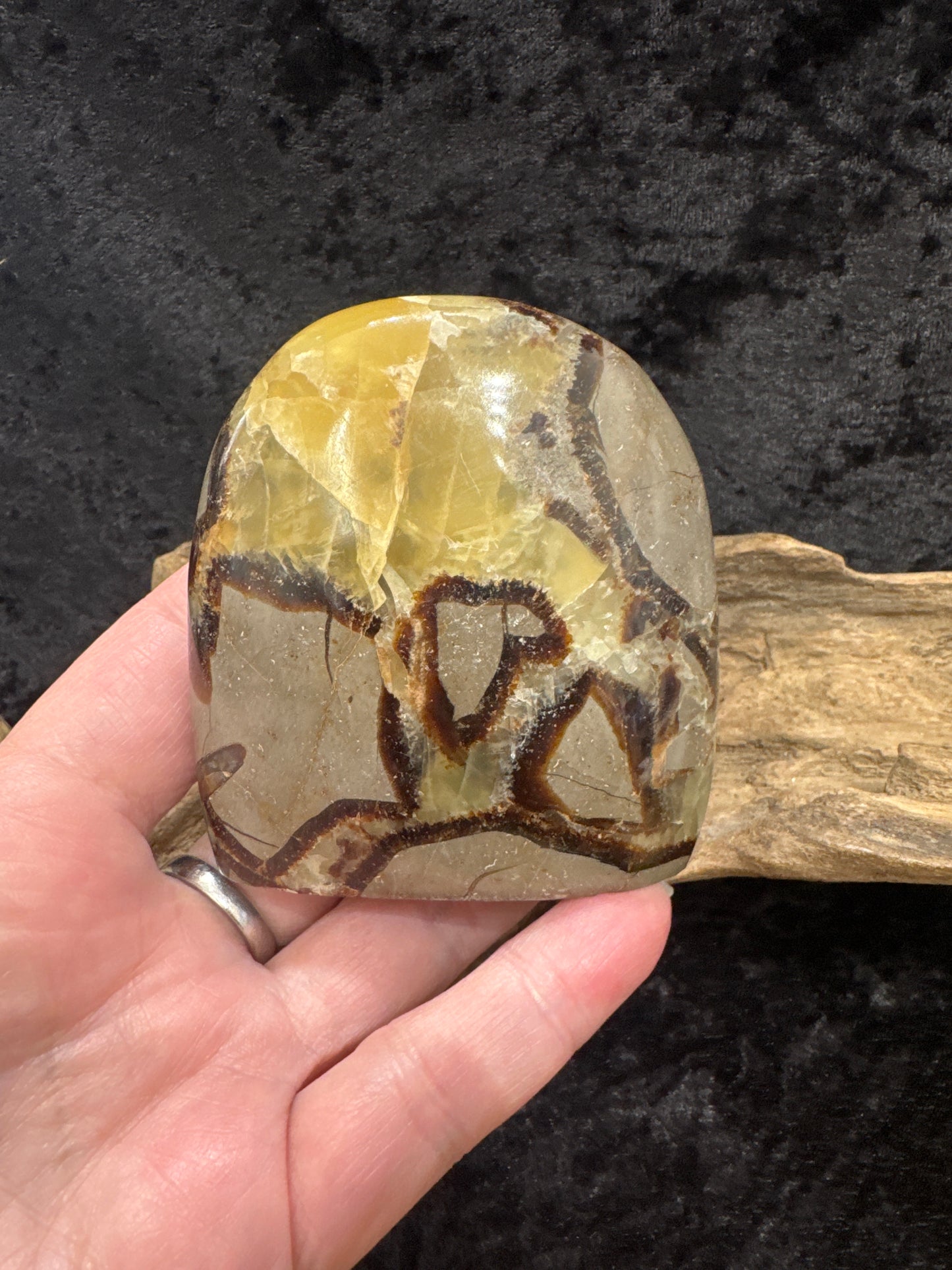 Septarian free form