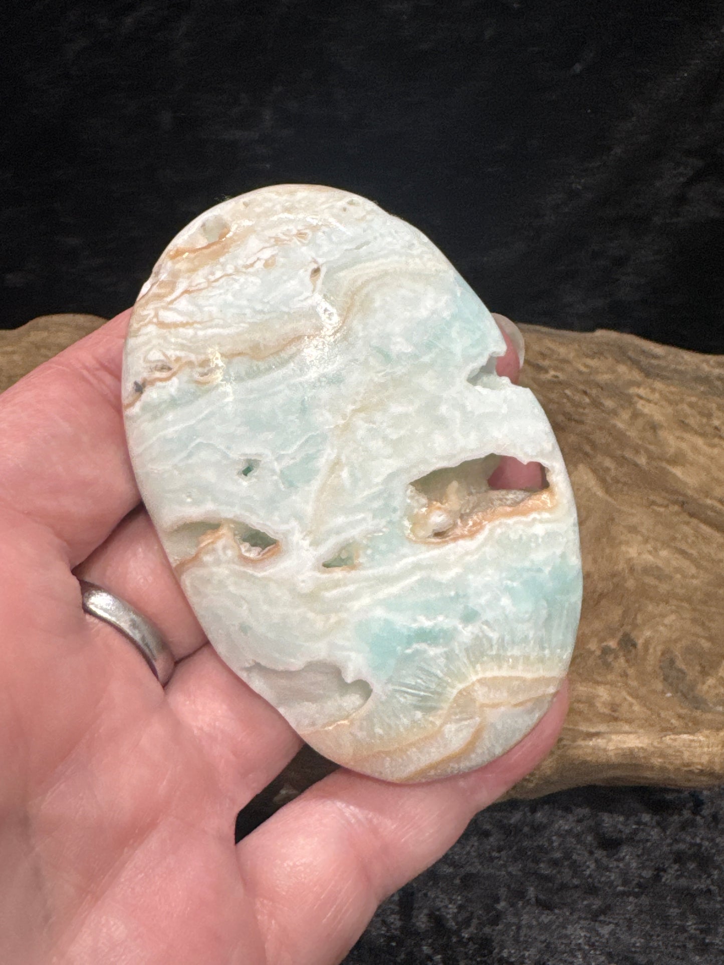 Caribbean Calcite Palm Stone - Pakistan
