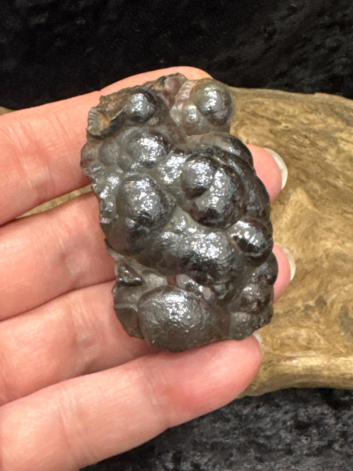 Botryoidal Hematite