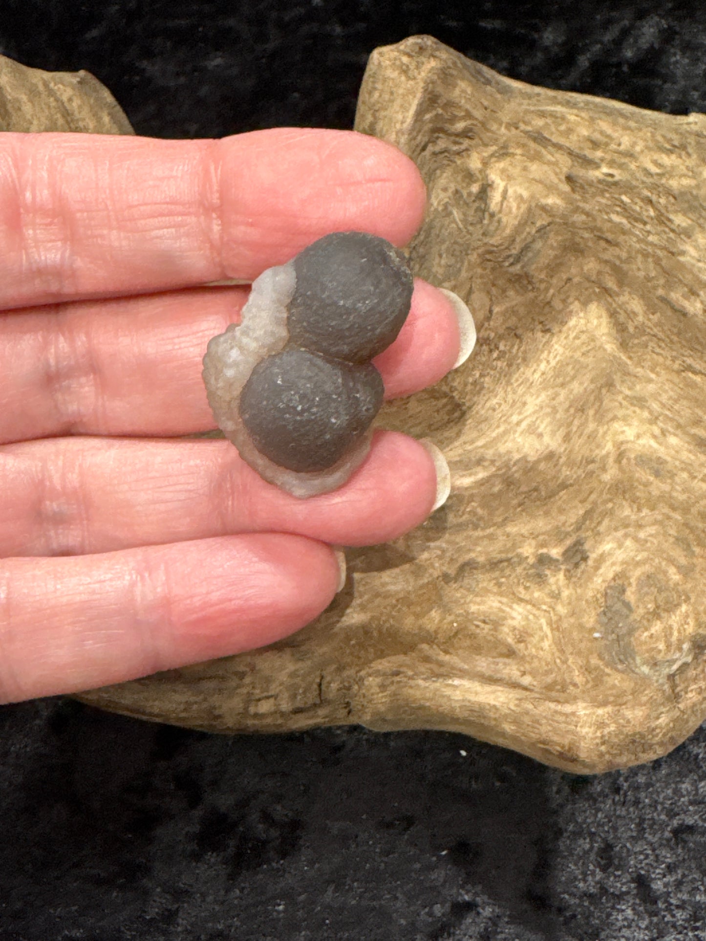 Botryoidal Chalcedony