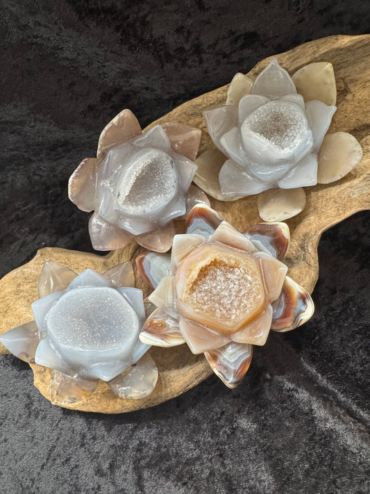 Druzy Agate Lotus