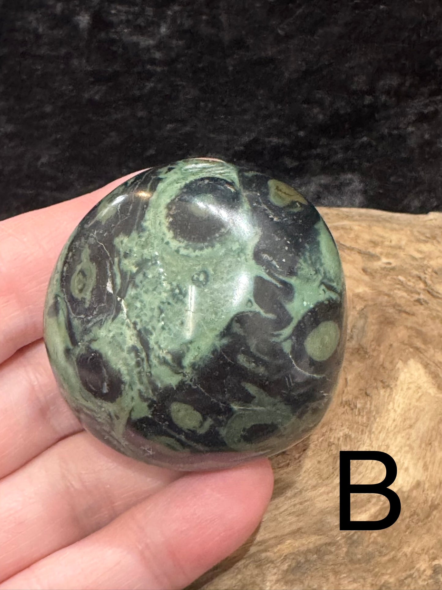 Kambaba Jasper (Stromatolite) Palm Stone