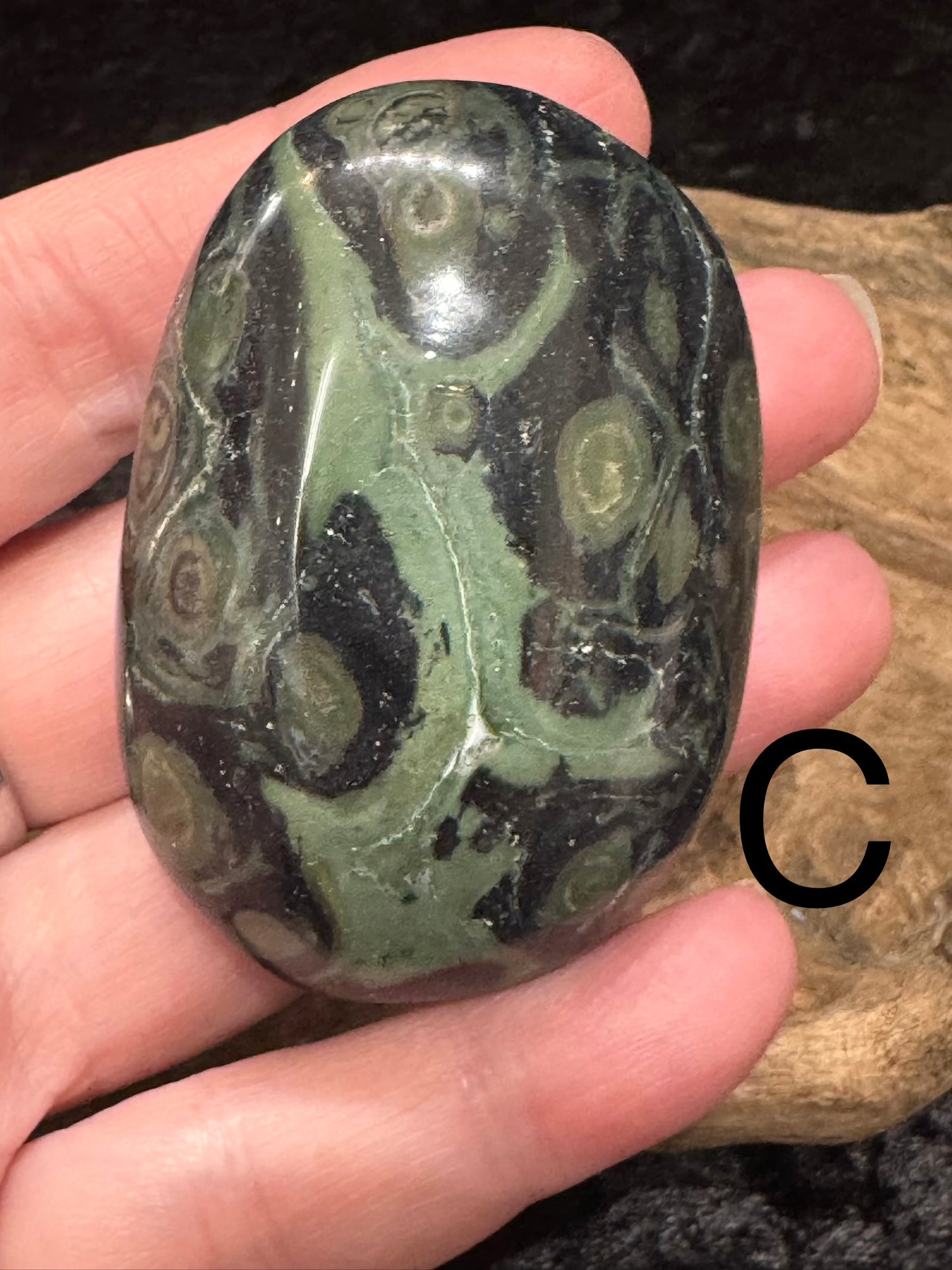 Kambaba Jasper (Stromatolite) Palm Stone