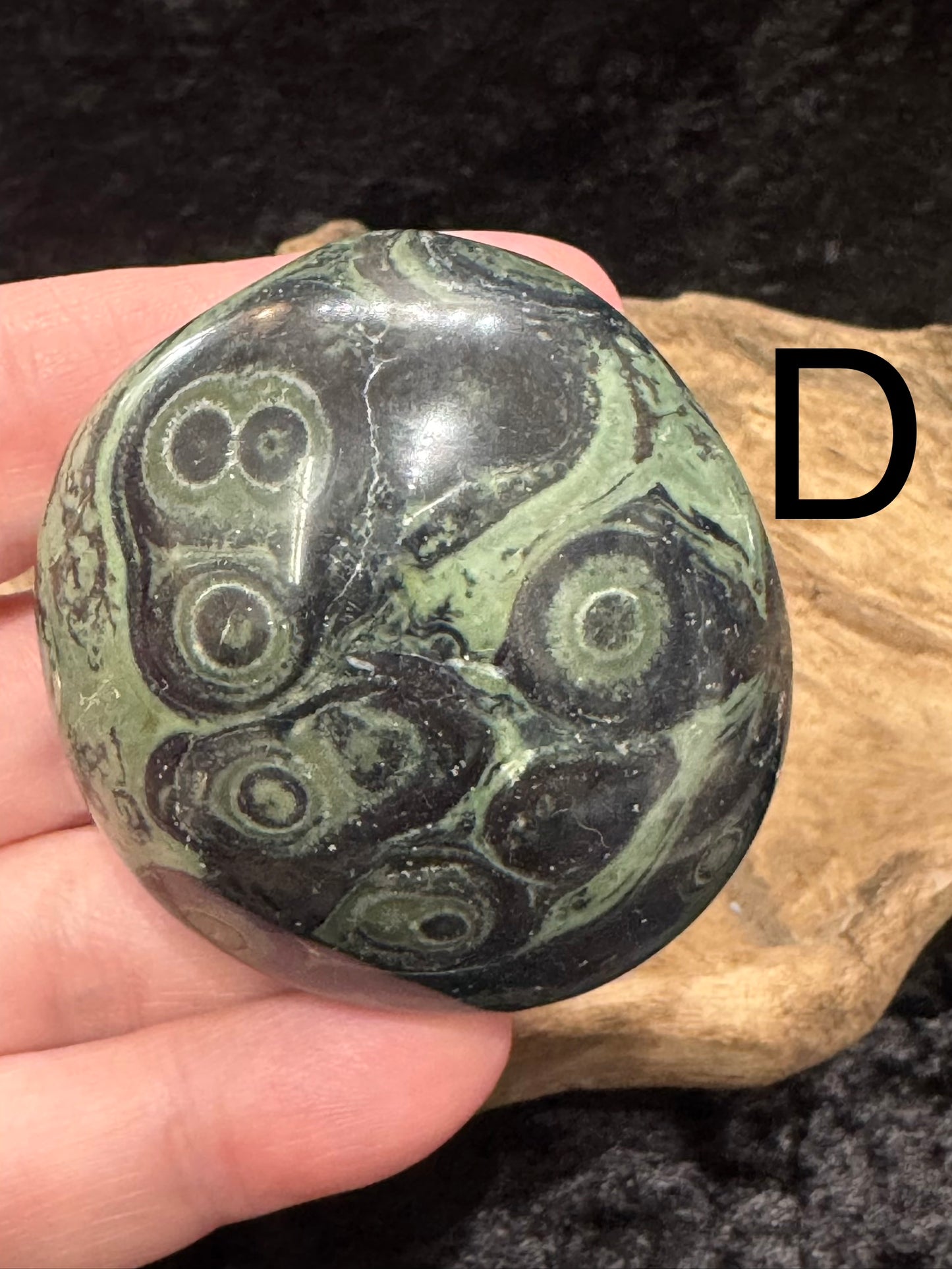 Kambaba Jasper (Stromatolite) Palm Stone