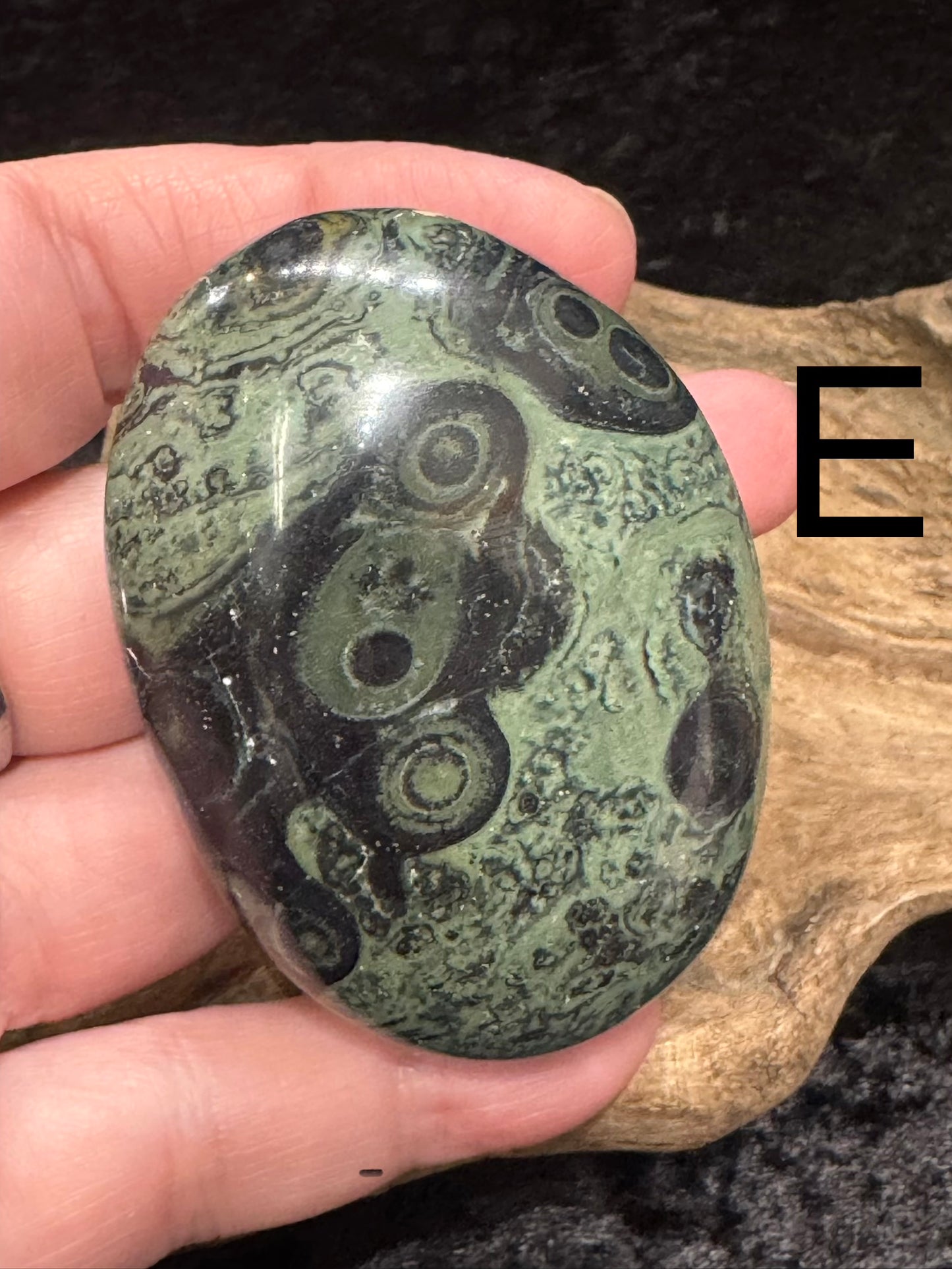Kambaba Jasper (Stromatolite) Palm Stone